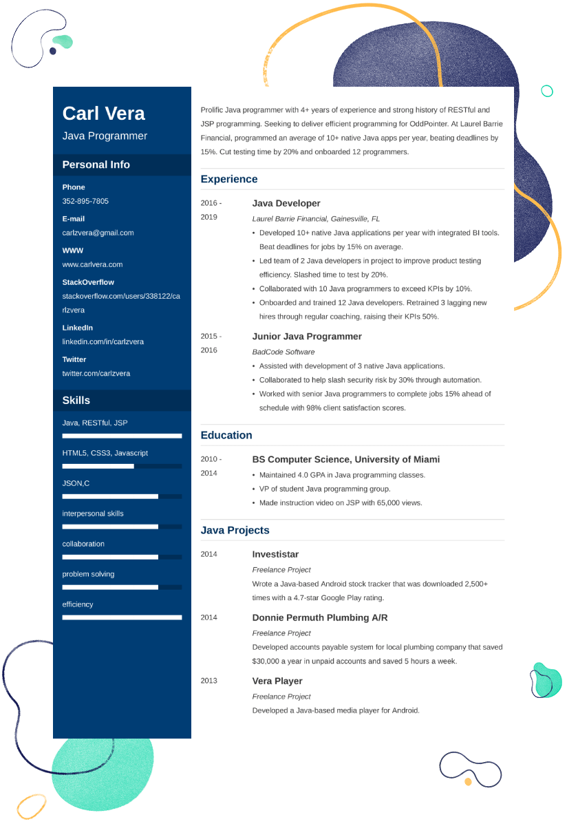 Detail Programmer Resume Template Nomer 47