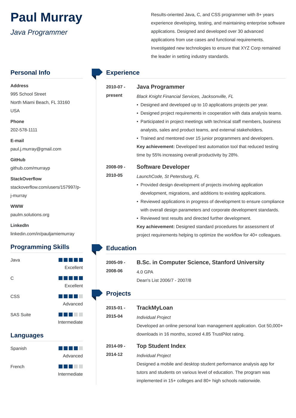 Detail Programmer Resume Template Nomer 48