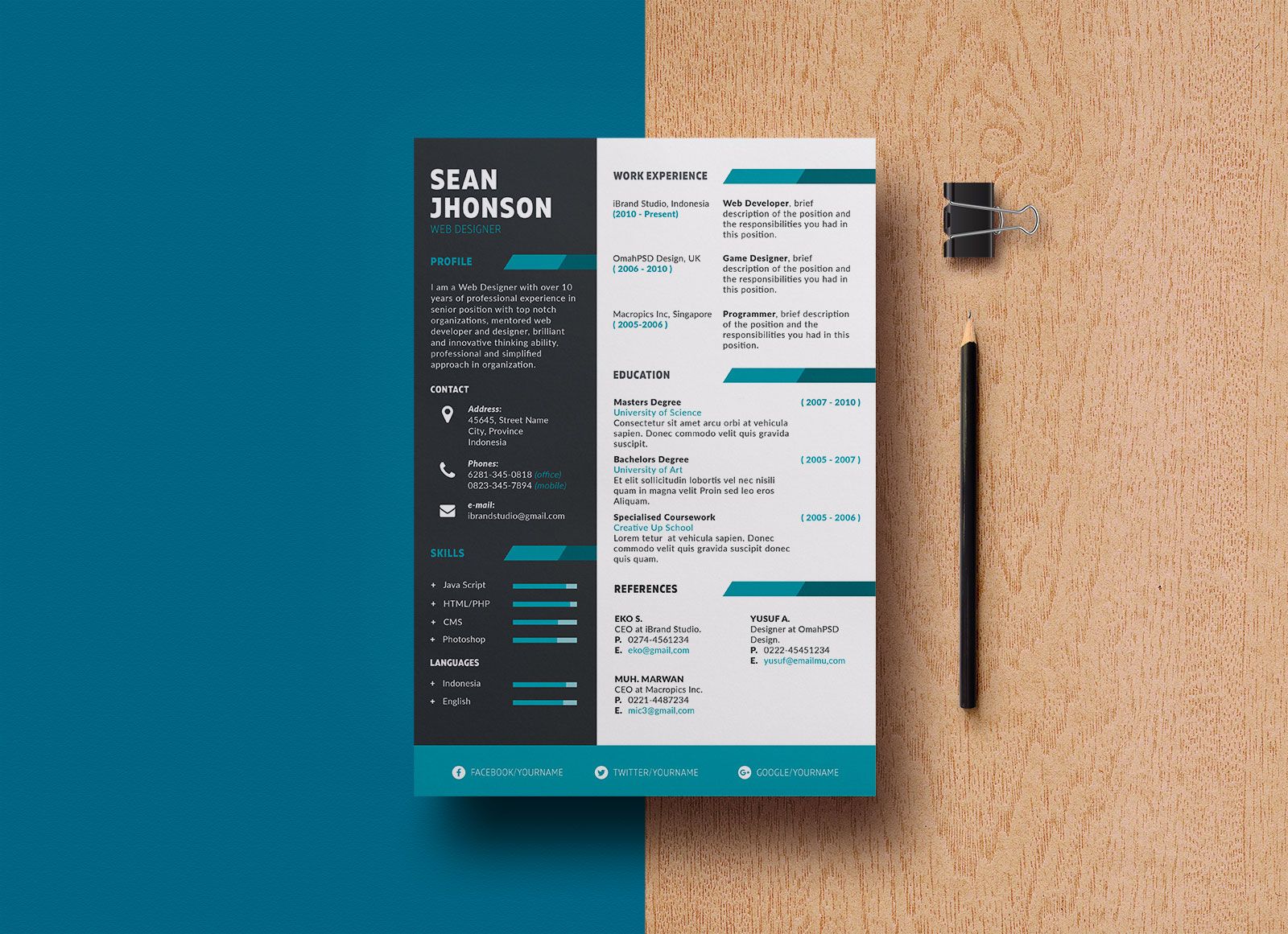 Detail Programmer Resume Template Nomer 49