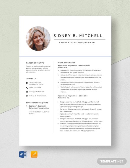Detail Programmer Resume Template Nomer 7