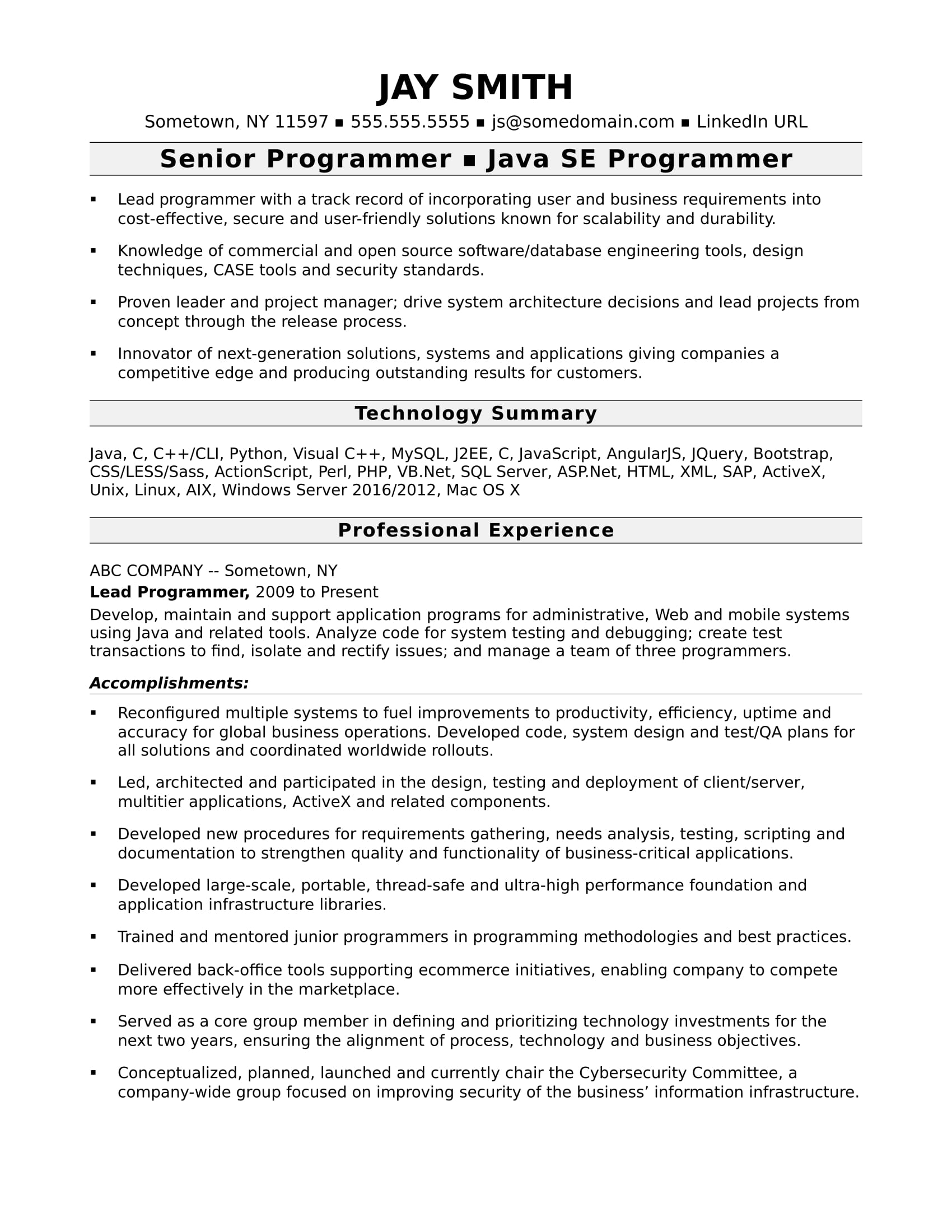 Detail Programmer Resume Template Nomer 8