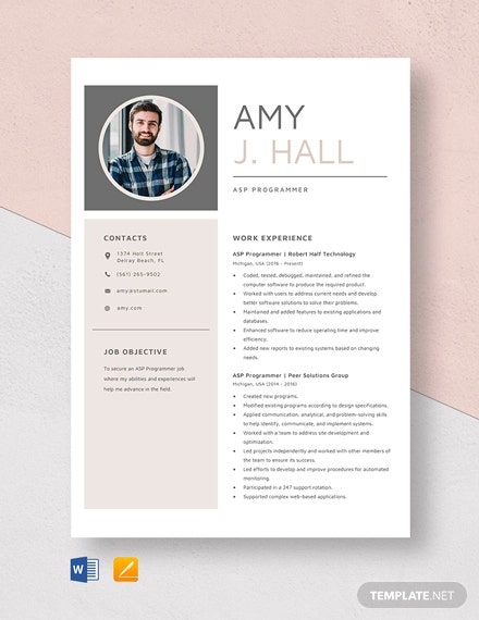 Detail Programmer Resume Template Nomer 9