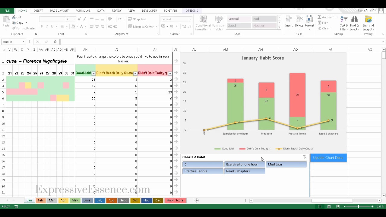 Detail Progress Tracker Excel Template Nomer 6