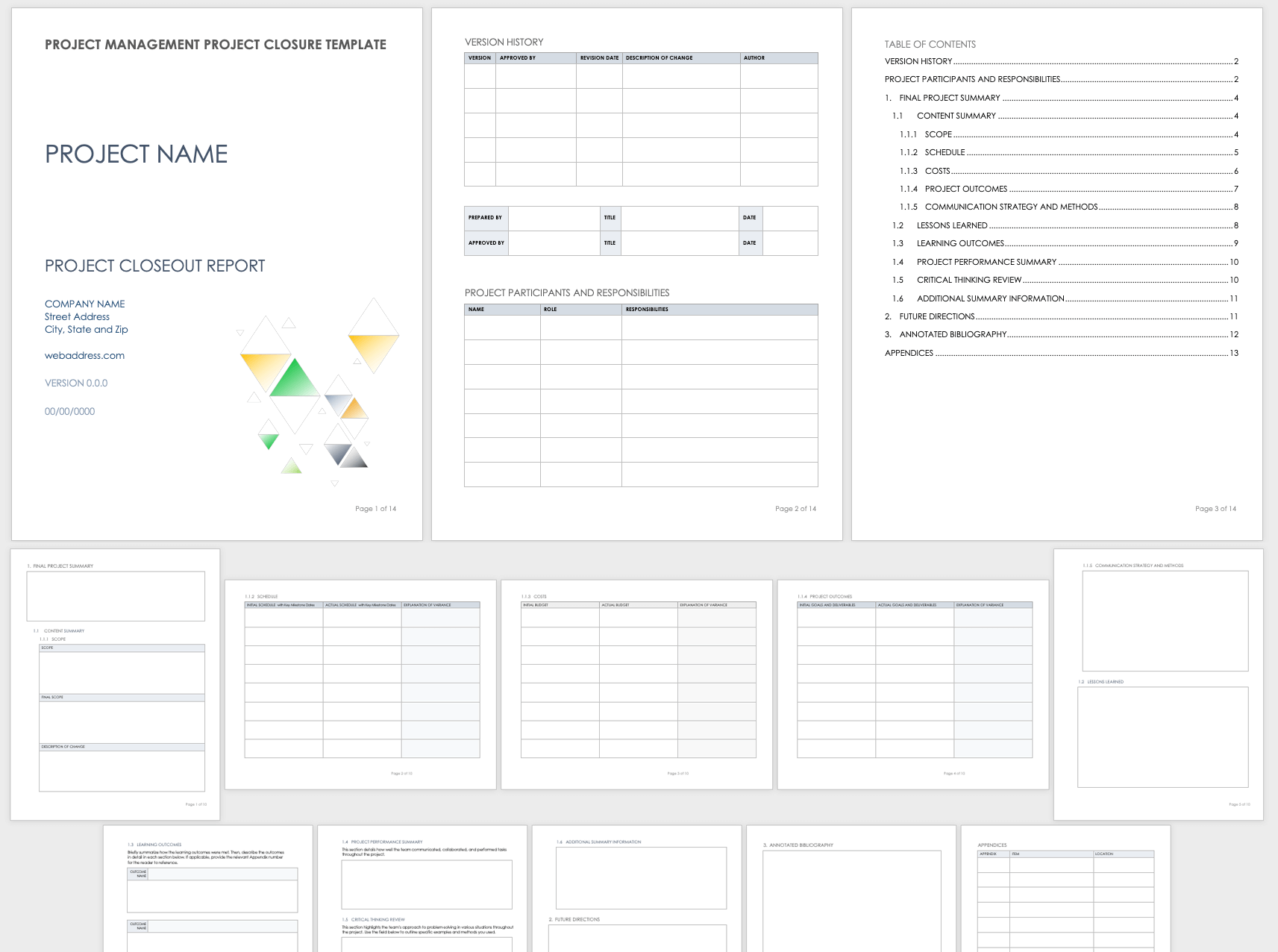 Detail Project Handover To Another Project Manager Template Nomer 18
