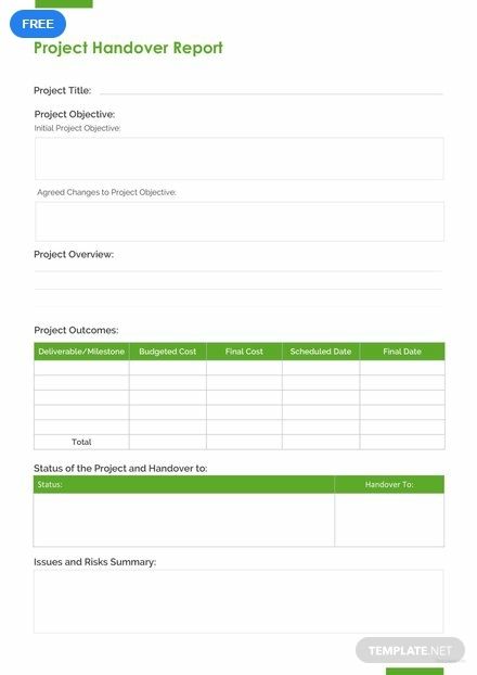 Detail Project Handover To Another Project Manager Template Nomer 2