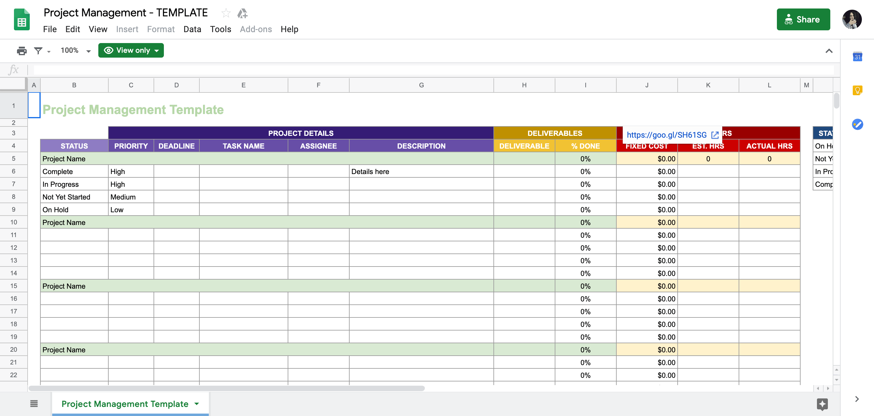 Detail Project Management Form Template Nomer 19