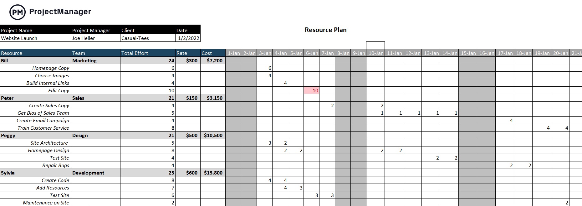 Detail Project Management Form Template Nomer 52