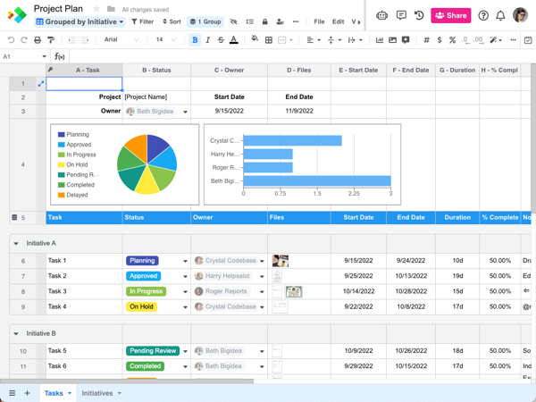 Detail Project Plan Template Nomer 2