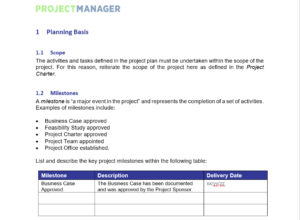 Detail Project Plan Template Nomer 18