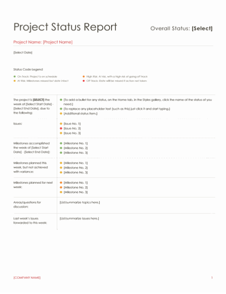 Detail Project Report Template Nomer 29