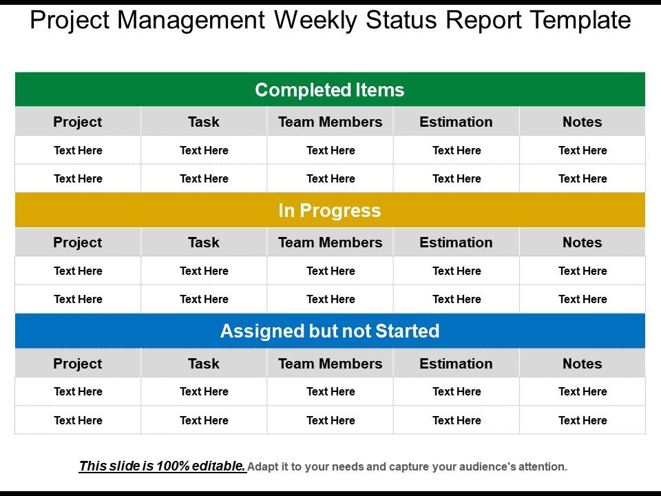 Detail Project Report Template Ppt Free Nomer 18