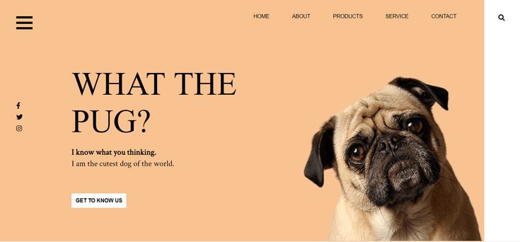 Detail Pug Template Github Nomer 15