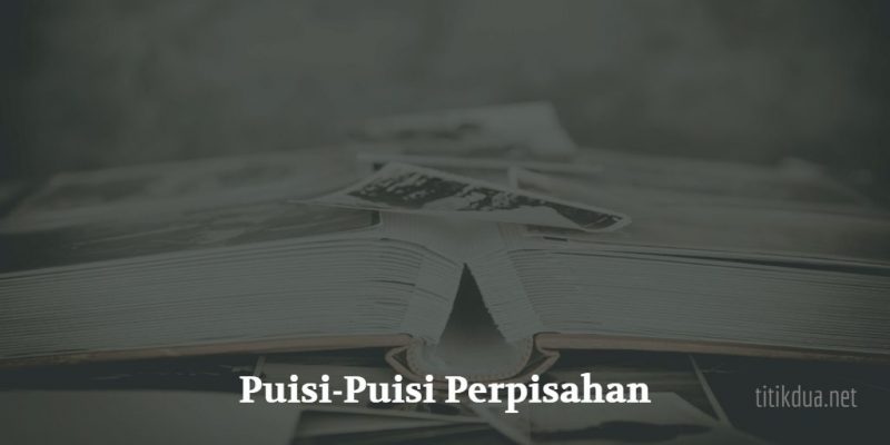 Detail Puisi Buku Adalah Jembatan Ilmu Nomer 36