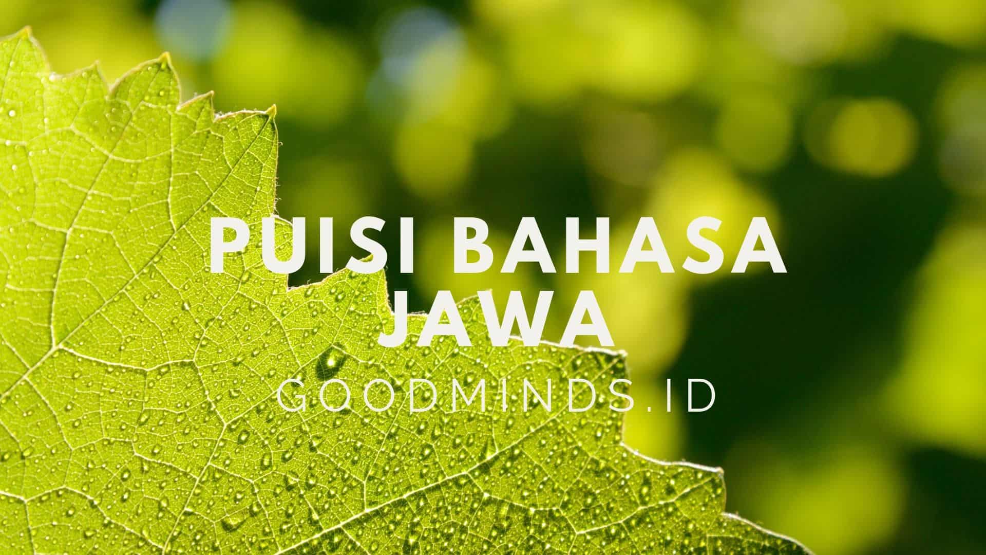 Detail Puisi Guru Dalam Bahasa Jawa Nomer 9