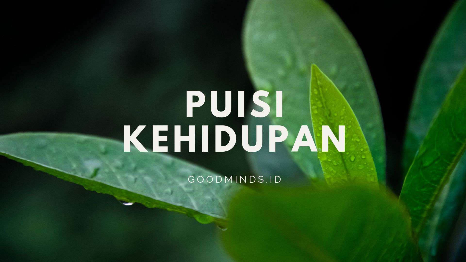 Download Puisi Panjang Tentang Kehidupan Nomer 16