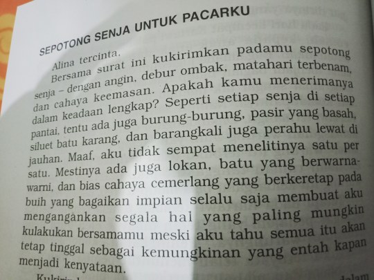 Detail Puisi Sepotong Senja Untuk Pacarku Nomer 25