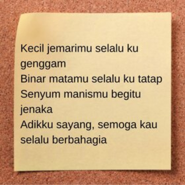 Detail Puisi Untuk Adik Perempuan Nomer 11
