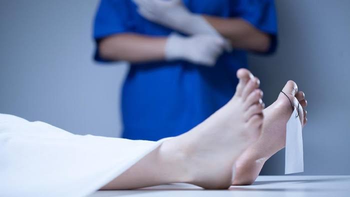 Detail Puisi Untuk Adik Perempuan Nomer 29