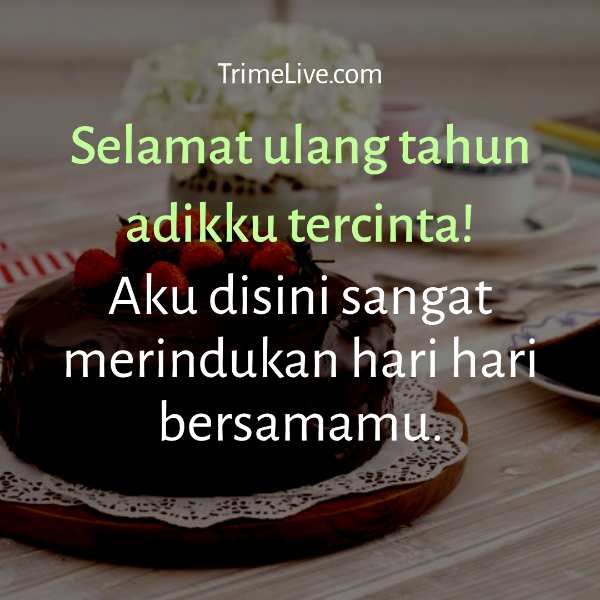 Detail Puisi Untuk Adik Perempuan Nomer 41