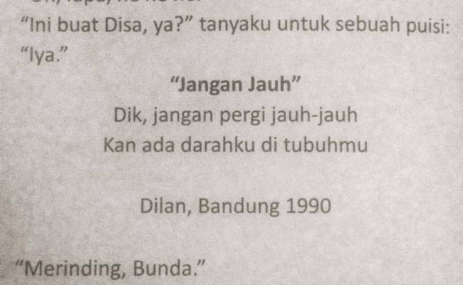 Detail Puisi Untuk Kakak Tersayang Nomer 12