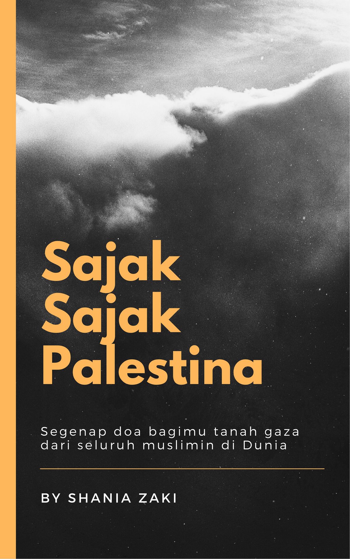 Detail Puisi Untuk Palestina Gaza Nomer 46