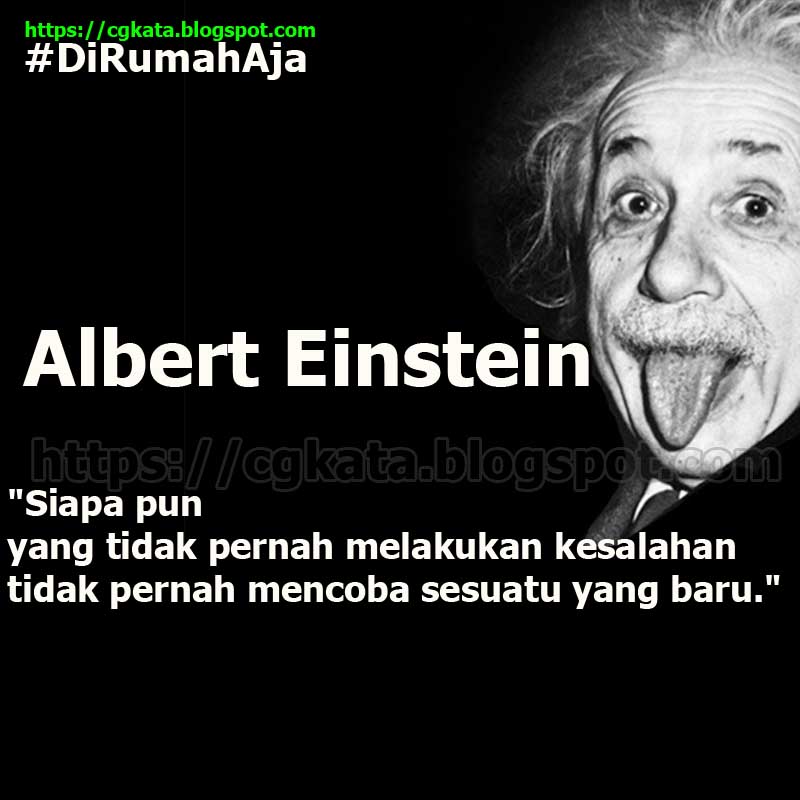 Detail Quotes Albert Einstein Bahasa Indonesia Nomer 8