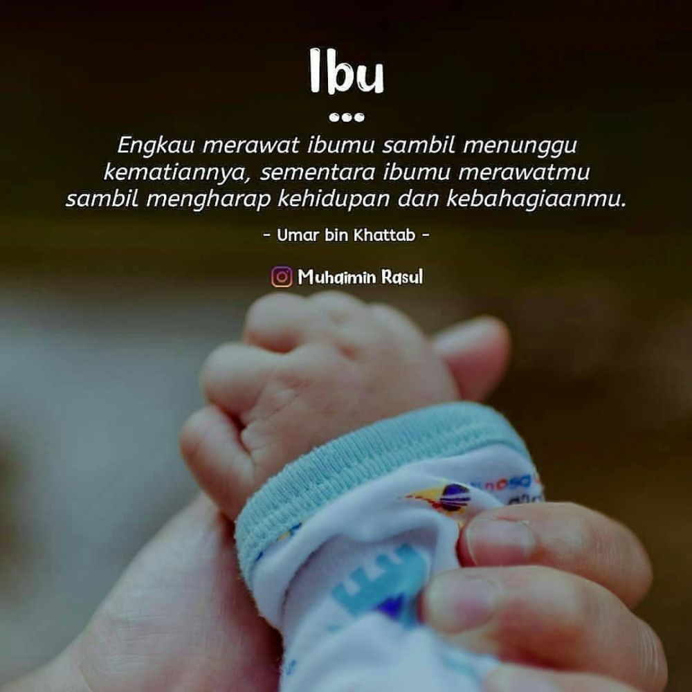 Quotes Anak Untuk Orang Tua - KibrisPDR