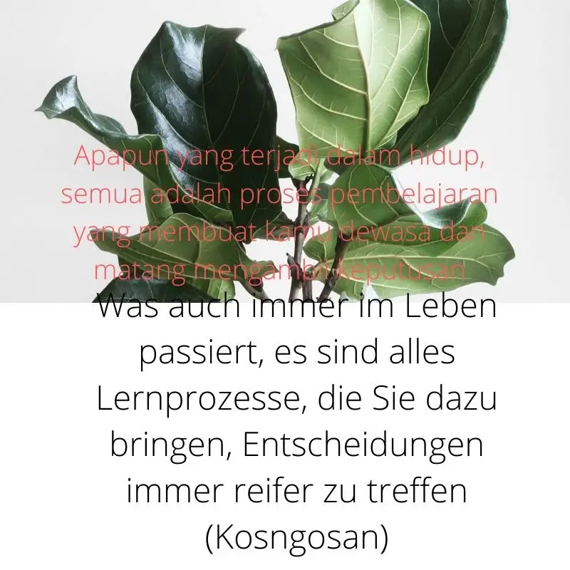 Detail Quotes Bahasa Jerman Nomer 12