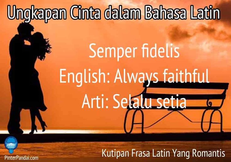 Detail Quotes Bahasa Latin Tentang Cinta Dan Artinya Nomer 2