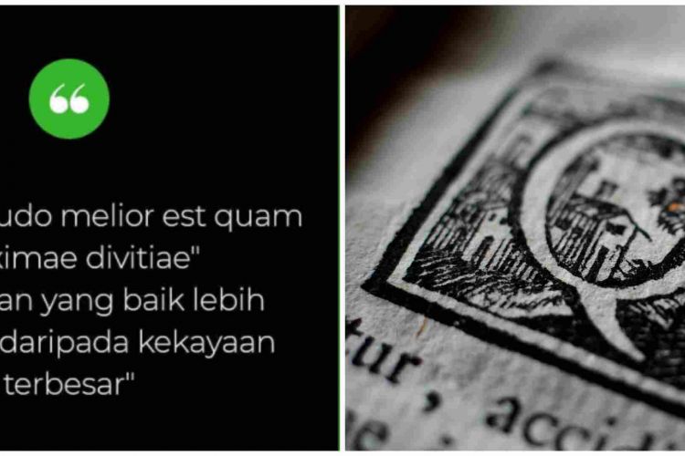 Detail Quotes Bahasa Latin Tentang Cinta Dan Artinya Nomer 17