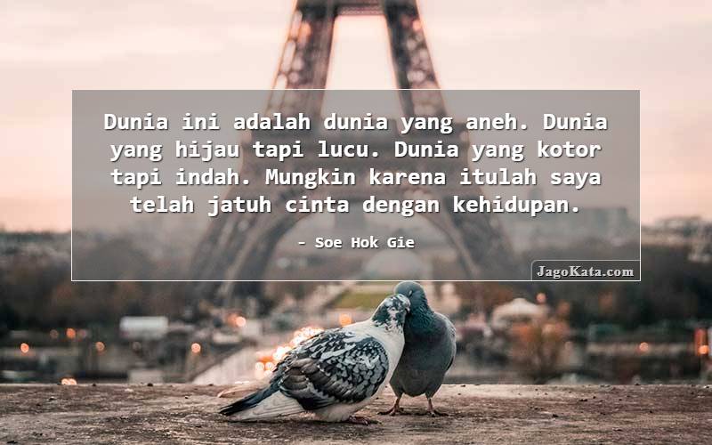 Detail Quotes Kehidupan Lucu Nomer 38