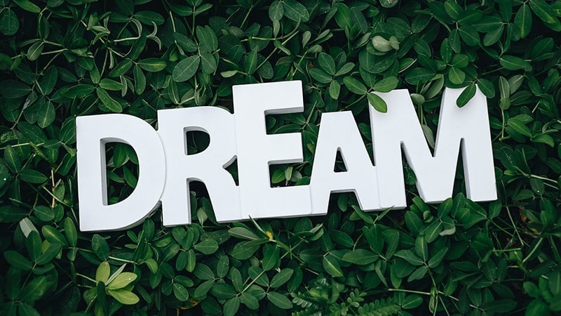 Detail Quotes Tentang Mimpi Dan Harapan Nomer 19