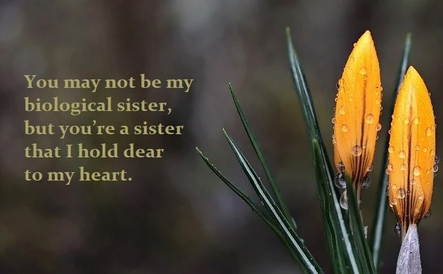 Detail Quotes Untuk Kakak Perempuan Nomer 25