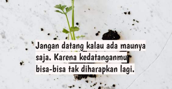 Detail Quotes Untuk Teman Yang Datang Saat Butuh Nomer 18