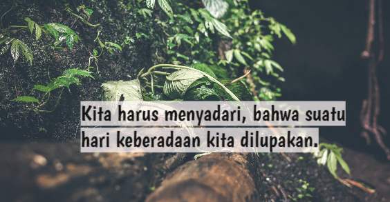 Detail Quotes Untuk Teman Yang Datang Saat Butuh Nomer 6