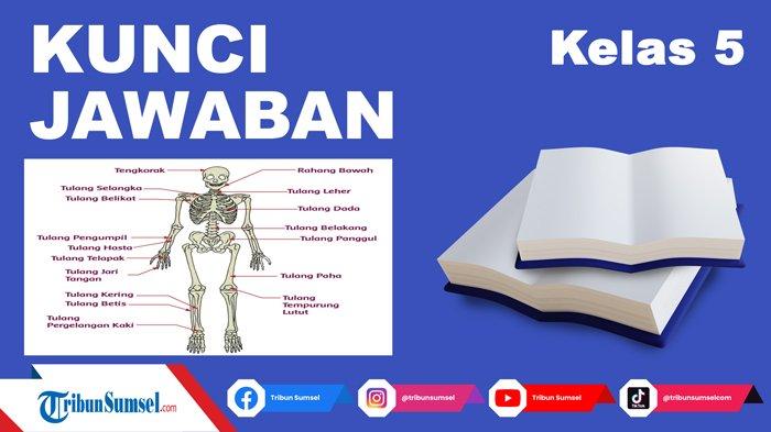 Detail Rangka Kaki Manusia Nomer 38