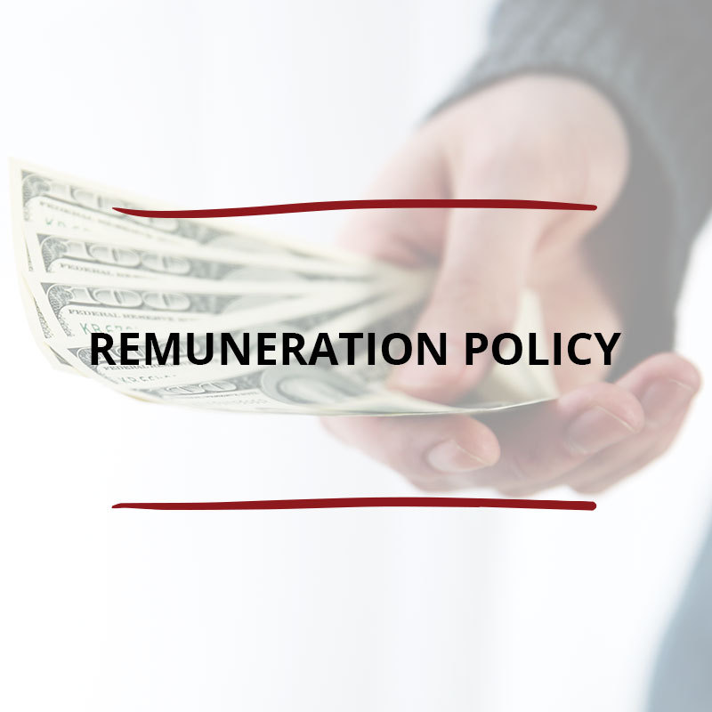 Detail Remuneration Policy Template Nomer 28
