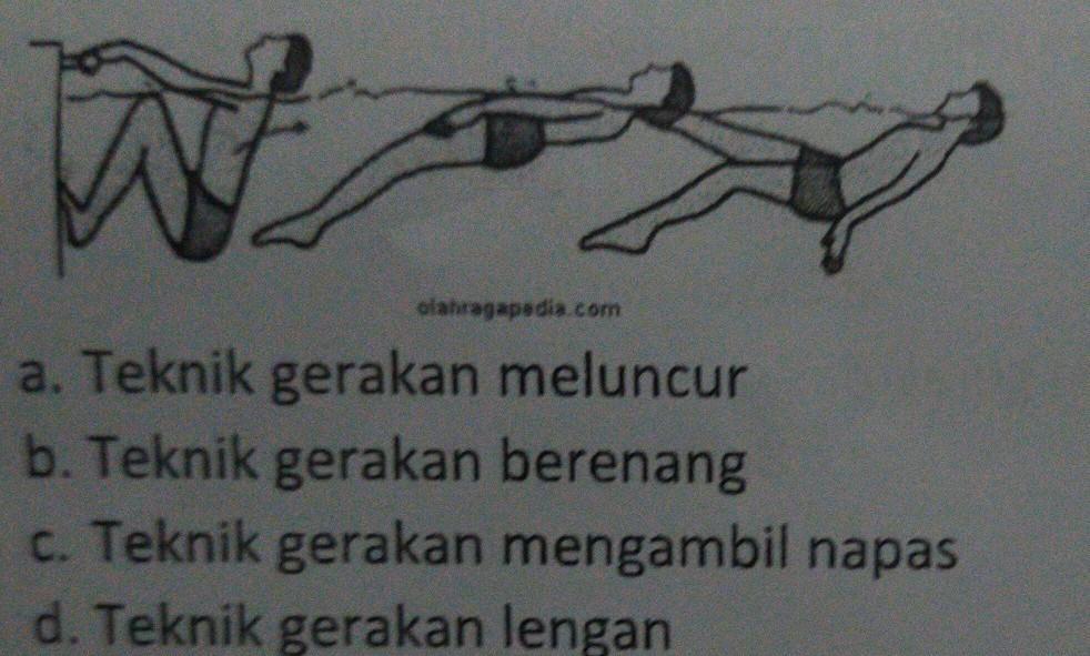 Detail Renang Gaya Punggung Gambar Nomer 45