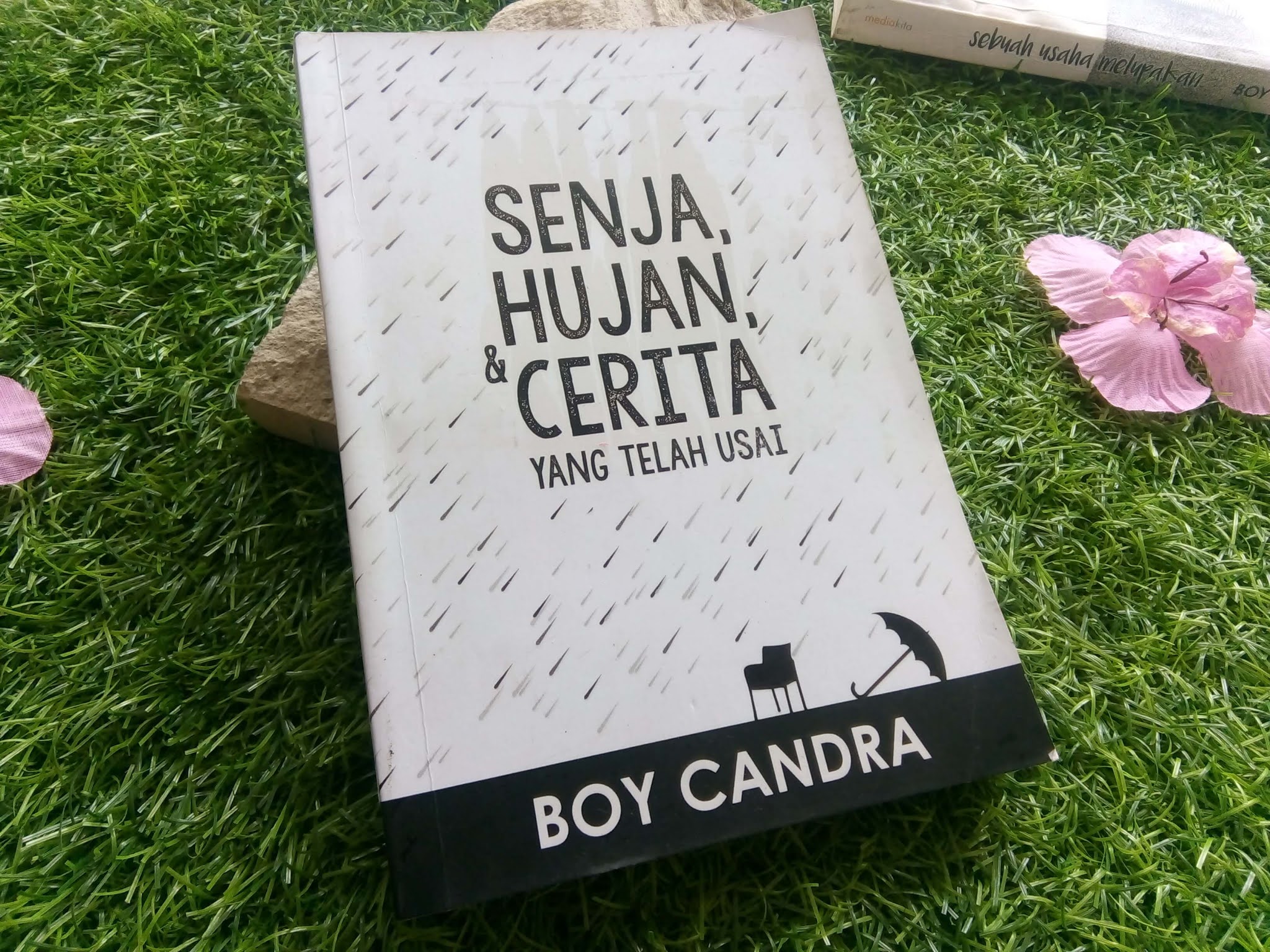 Detail Resensi Buku Boy Candra Nomer 14