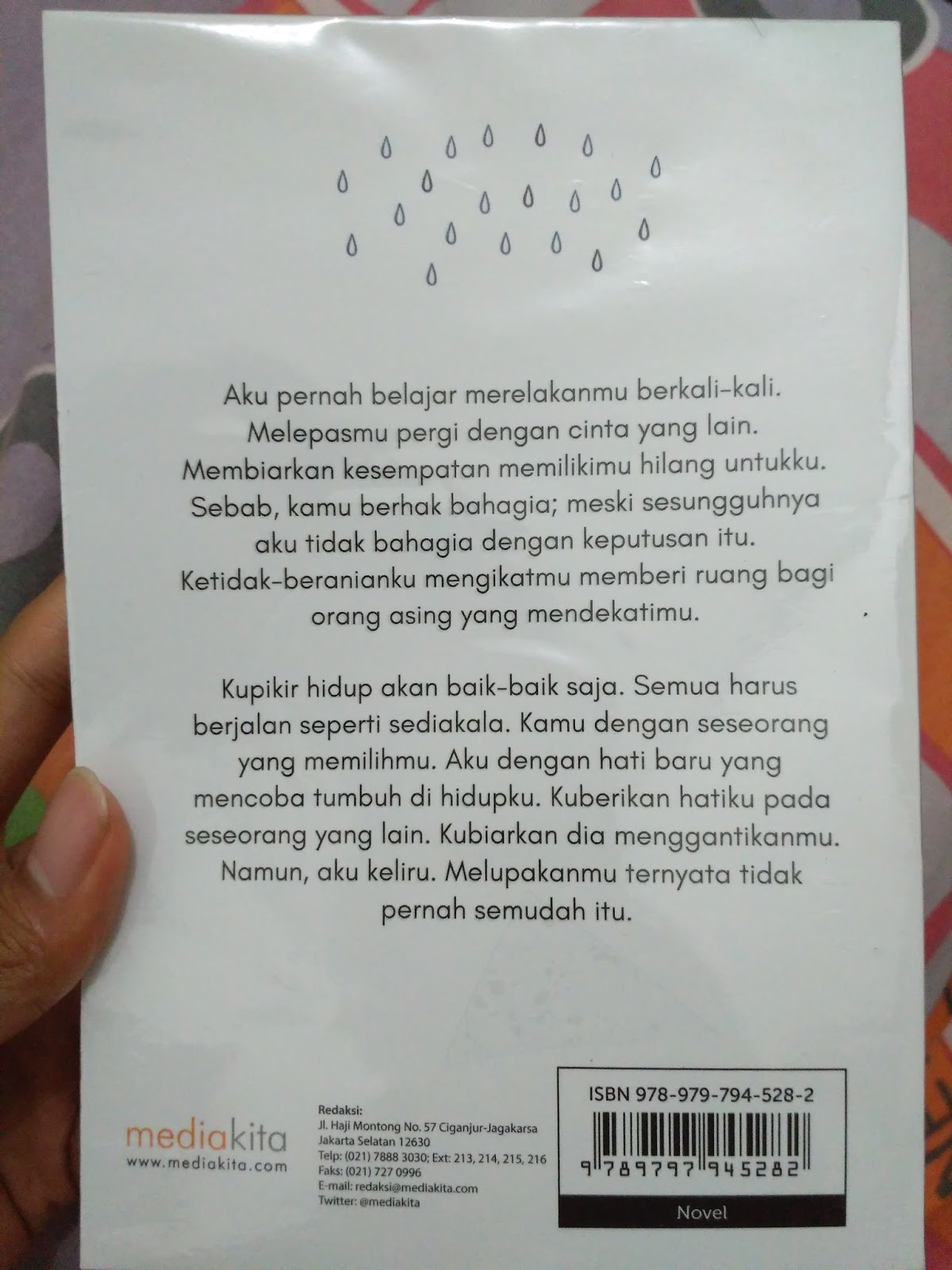 Detail Resensi Buku Boy Candra Nomer 17