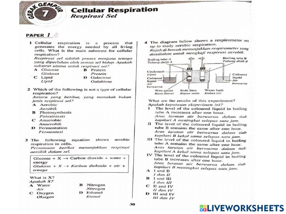 Detail Respirasi Sel Adalah Nomer 30