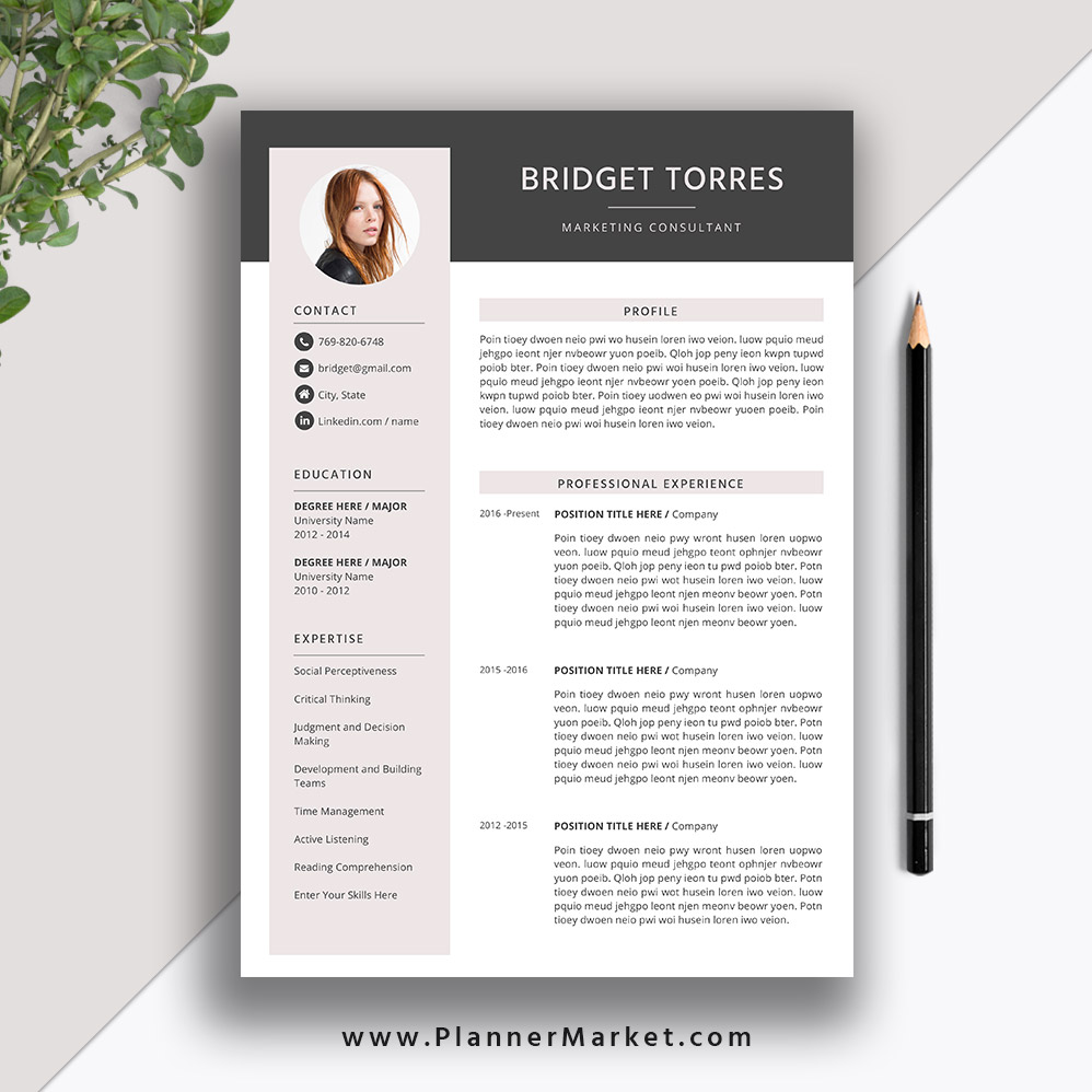 Detail Resume 2020 Template Nomer 12