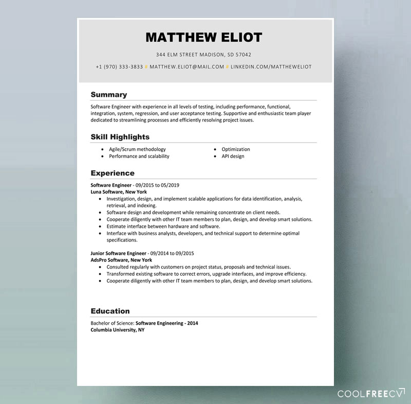 Detail Resume 2020 Template Nomer 7