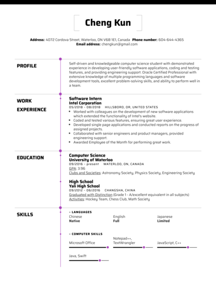 Detail Resume Template With Picture Nomer 23