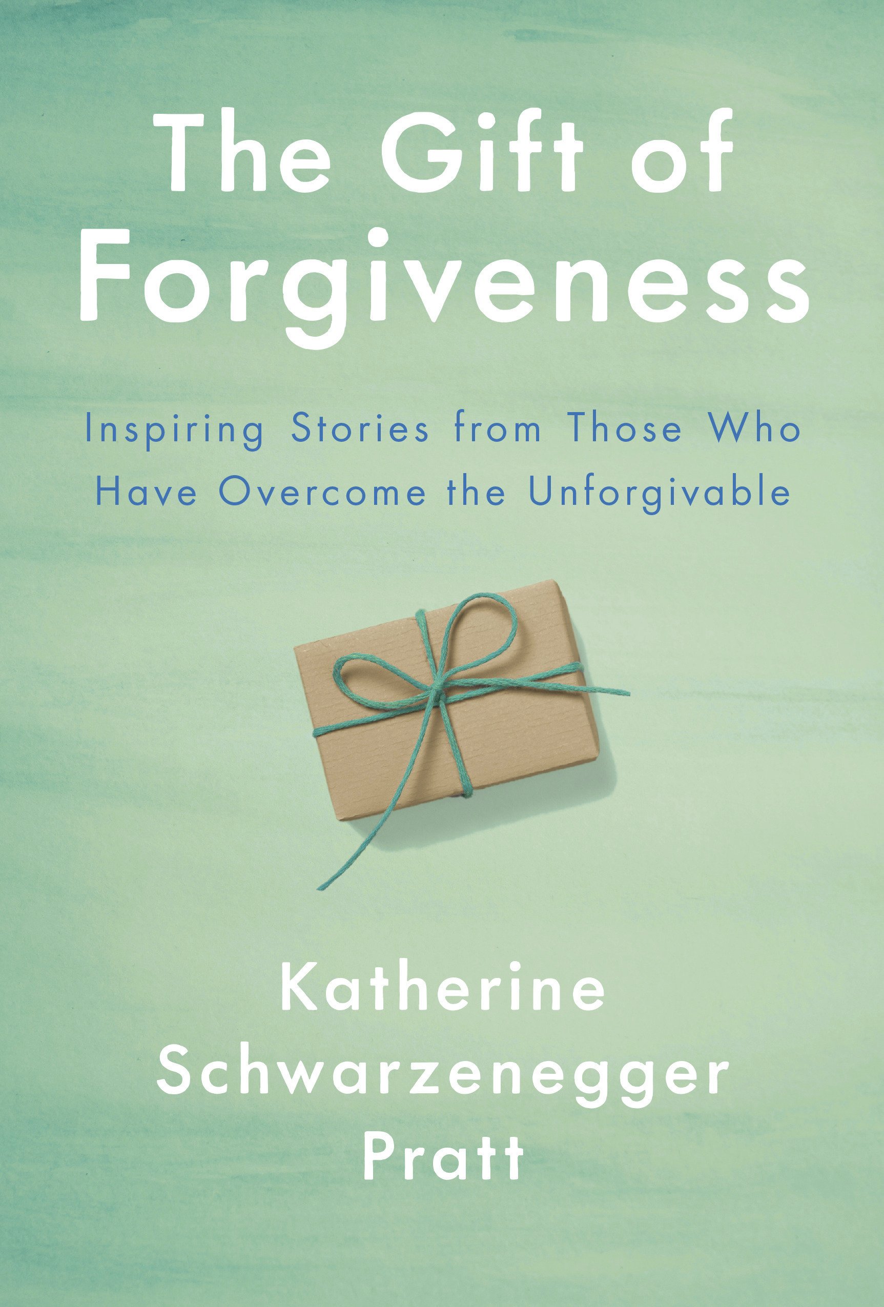 Detail Review Buku Forgiving The Unforgivable Nomer 7