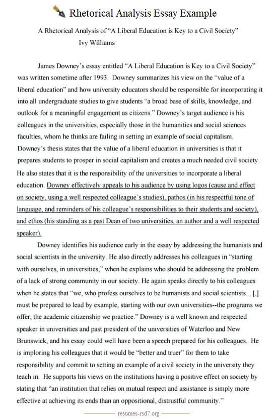 Detail Rhetorical Analysis Essay Template Nomer 20