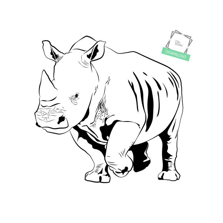 Detail Rhino Template Files Nomer 47