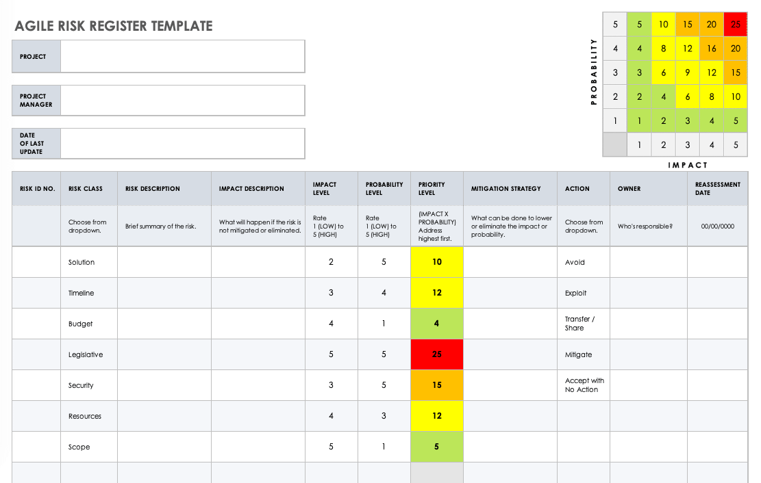 Detail Risk Log Template Nomer 2