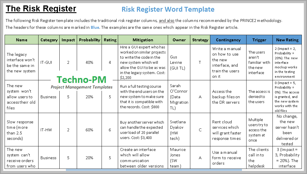 Detail Risk Log Template Nomer 12