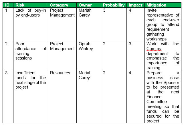 Detail Risk Log Template Nomer 36